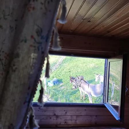 Roulotte Champetre A La Ferme Luxury tent